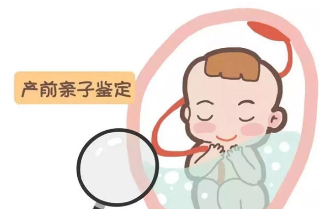 怀孕了怎么鉴别孩子父亲是谁[杭州],怀孕亲子鉴定结果准吗